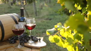 Bento Gon�alves - Fil�, Viva a It�lia